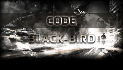 Style phpBB Code Black-Bird