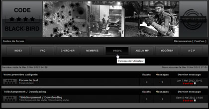 theme CODE BLACK-BIRD