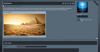 theme quantum codex